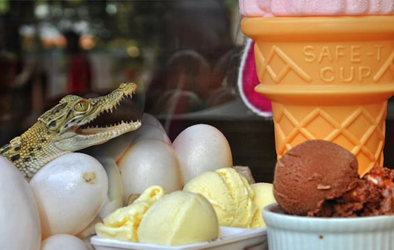 Crocodile Egg Ice Cream: ‘Bestseller’