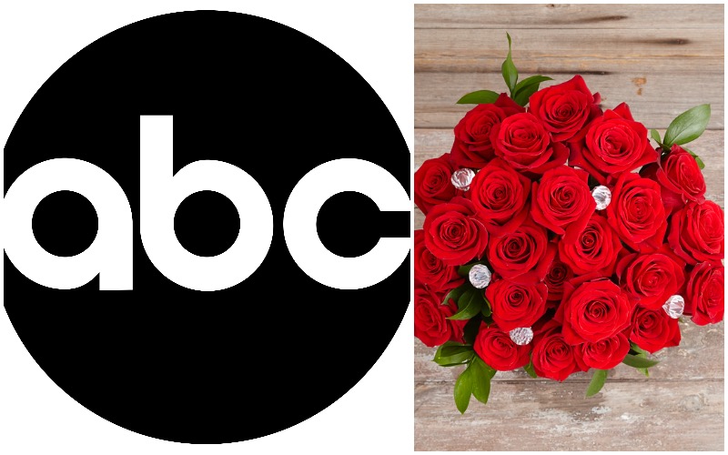 ABC’s New ‘Bachelor’ is Nick Viall
