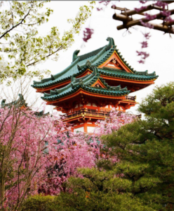 Discover the Wonders of Japan